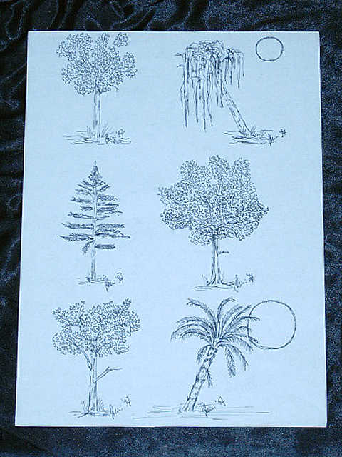 tree studies