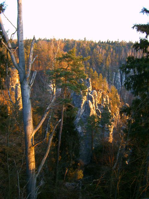 elbsandsteingebirge18