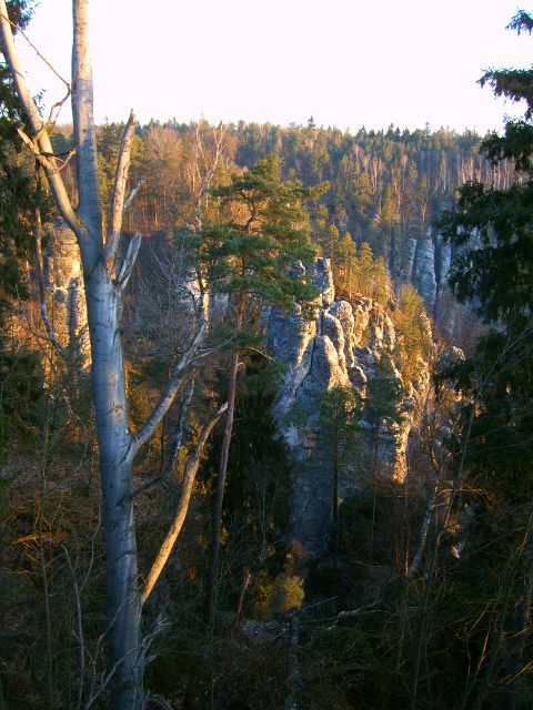 elbsandsteingebirge21